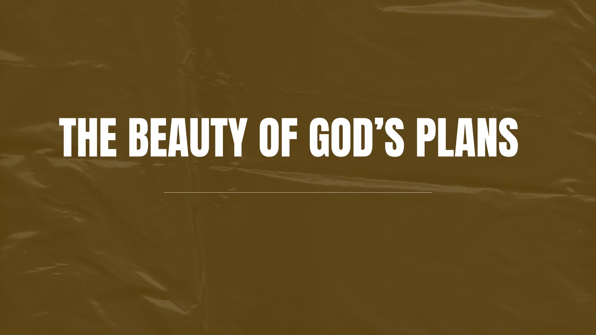 The Beauty Of God’s Plan